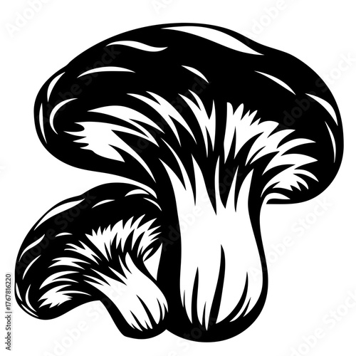 Striking silhouette of a mushroom fungi duo in black and white