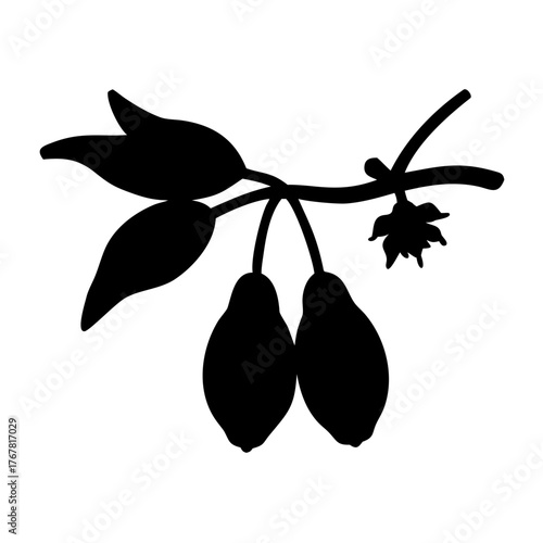 Black silhouette of two pears on a branch with leaves and a flower