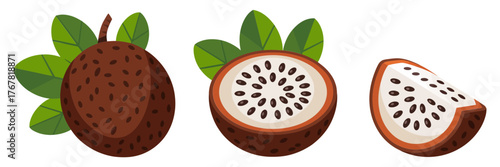Snake fruit icons, scaly brown salak, peeled cross sections, pale flesh segments, exotic tropical snack, organic market vector