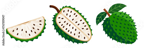 Soursop fruit set, large spiky green skin, creamy white interior, glossy black seeds, tropical smoothie ingredient, nutrition vector