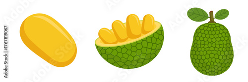 Mango and jackfruit icons, ripe yellow mango half with cubes, whole green jackfruit texture, tropical dessert ingredients vector