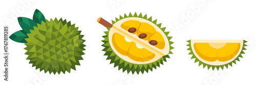 Durian icons set, thorny green fruit with cut sections, aromatic creamy pulp, exotic market, clean vector