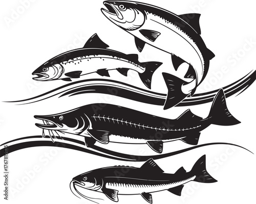 Black and white illustration of four fish and wavy lines sturgeon salmon