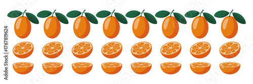 Seamless citrus border pattern, repeating orange halves on string, festive garland style, decorative food divider vector