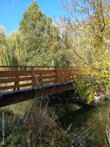 wooden bridge over the river