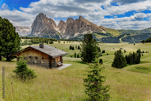 View over the alpine meadows with mountain cabins towards the Langkofel group with the peaks of Langkofel and Plattkofel on the Seiser Alm, Dolomites, South Tyrol, Italy.