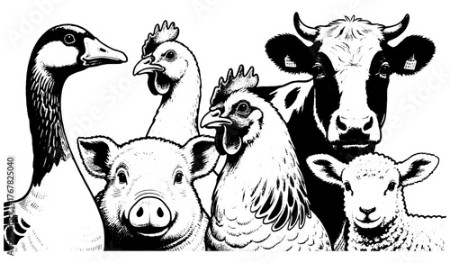 Vintage engraving illustration of farm animals — goose, chicken, pig, cow and sheep. Black and white retro artwork with detailed rural aesthetic.