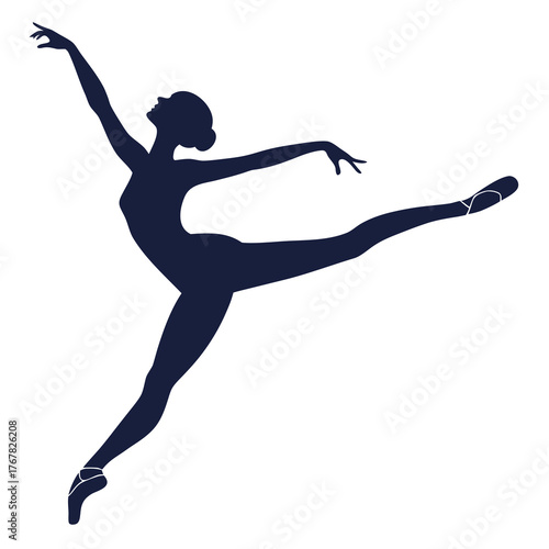 Silhouette of a ballerina in a graceful pose
