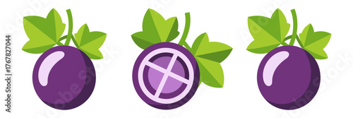 Mangosteen fruit set, purple rind spheres, leafy calyx, white segment cross section, exotic tropical dessert, healthy superfood vector