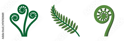 Forest fern fronds collection, spiral fiddlehead variants, leaf segments, herbal plant icons, foraging ingredients, vector illustration