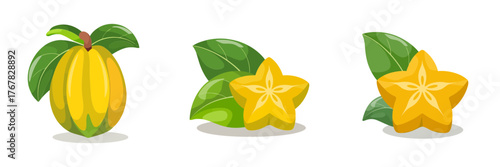 Starfruit collection, whole fruit and star slices, tropical citrus style, cocktail garnish icons, summer packaging illustration, vector