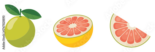 Pomelo grapefruit set, whole fruit with leaf, juicy half, sliced wedge, tropical citrus illustration, fresh market vector