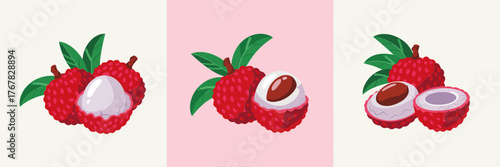 Lychee fruit set, whole fruits with leaves, peeled white arils, fresh tropical dessert ingredient, grocery sticker, clean vector