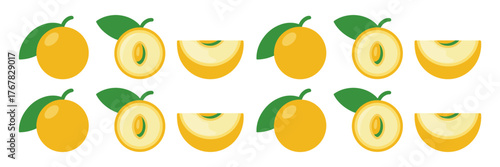 Yellow loquat border set, whole and half slices, cute seamless row, cheerful fruit strip, summer garden vector