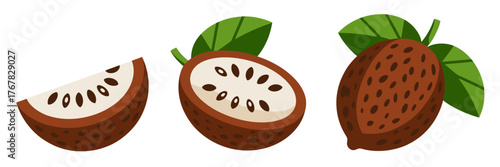 Sapodilla fruit collection, ripe brown skin, creamy white interior, shiny black seeds, tropical dessert ingredient, wholesome produce vector