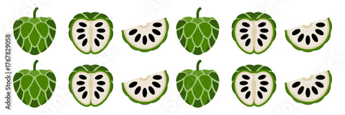 Custard apple pattern row, repeating halves with seeds, green segmented rind, tropical border element, seamless decorative strip vector