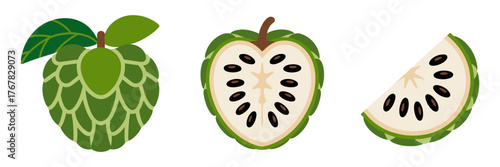 Cherimoya collection, green heart shaped fruit, sliced pieces revealing black seeds, soft creamy texture, botanical food illustration vector
