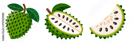 Prickly soursop trio, fresh whole fruit with leaves, sliced halves displaying seeds, exotic tropical produce graphic, vector