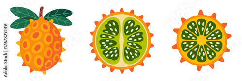 Bright orange spiky fruit with leaves, cross section showing green seeds, tropical produce clipart, healthy food vector