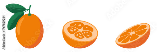 Citrus fruit with leaf, juicy cross section and wedge, fresh kitchen ingredient, nutrition themed illustration vector