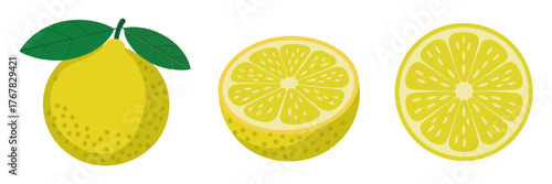 Lemon collection, whole fruit with leaf, sliced halves showing pulp, juicy citrus graphics, gourmet kitchen ingredient vector
