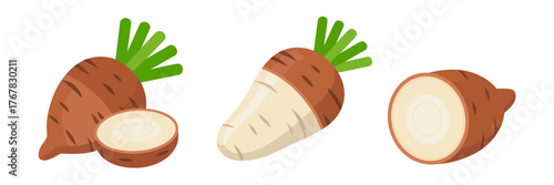 Cassava yuca roots, brown tapered tubers, peeled white pieces, traditional starch ingredient, tropical cuisine icons, vector illustration