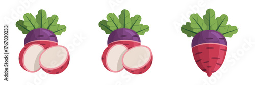 Beetroot icons set, deep red bulbs, leafy greens, round slice cross sections, organic salad ingredient, healthy food vector