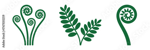 Fiddlehead fern icons, curled frond shapes, edible wild greens, spring harvest symbols, botanical illustration set, natural food vector