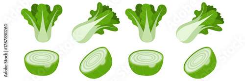 Asian bok choy collection, whole and cut vegetables, views with cross sections, fresh greens clipart, clean vector artwork