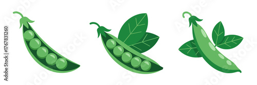 Garden pea pods with leaves, curved shapes, open and closed, spring harvest vegetable clipart, natural food illustration