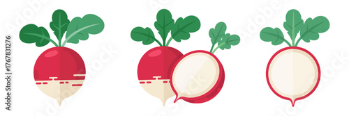 Garden radishes trio, vibrant bulbs with leaves, half and sliced views, healthy vegetable icons, vector illustration, isolated