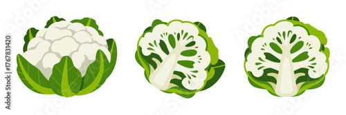Cauliflower trio set, whole head and sliced florets, botanical vegetable study, clean grocery clipart, culinary preparation vector