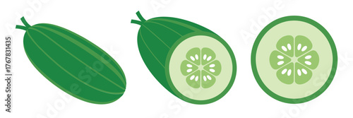 Green cucumber set, whole gourds, circular slice detail, garden harvest theme, healthy food illustration, fresh vegetable vector