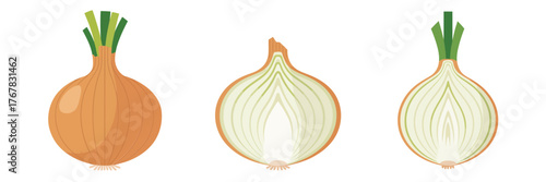 Single onion icons, full bulb, sliced half view, delicate ring layers, home cooking element, vegetable design vector set