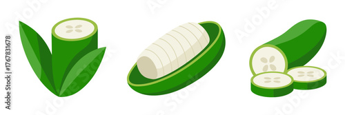 Cucumber vegetable set, leafy stem with half and whole, peeled cylinder on plate, sliced rounds, kitchen vector