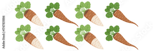 Parsnip vegetables pattern, repeating roots with leafy tops, cream color harvest, culinary ingredient border, seamless farm vector