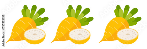 Yellow beetroot set, leafy tops, halves and cross sections, concentric ring pattern, nutritious salad ingredient, farmers market vector