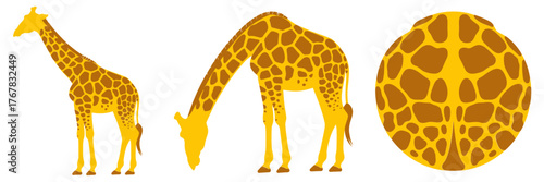 Modern clinic building isometric, small hospital exterior, parking lot and shrubs, urgent care center, healthcare architecture illustration