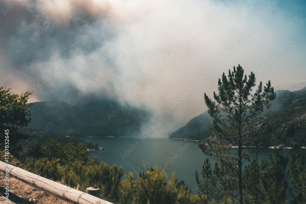 Fototapeta premium wildfire over the river