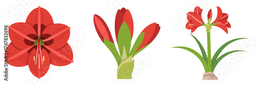 Wooden street cafe booth, striped awning shade, greenery planters, rustic snack bar, outdoor service counter, charming isometric illustration