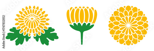 Foto Golden chrysanthemum collection, sunburst petals, marigold style, seasonal festi