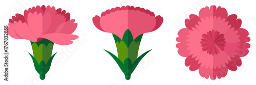 Pink carnation blossoms, full ruffle petals, side profile view, garden bouquet icons, floral vector, printable clipart, cute design