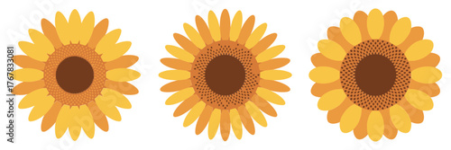 Sunflower trio icons, detailed petals and seeds, botanical illustration set, kitchen decor, country style, vector graphic