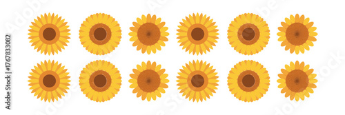 Sunflower border pattern, repeating yellow blooms with brown centers, seamless floral divider, summer decoration strip, vector illustration