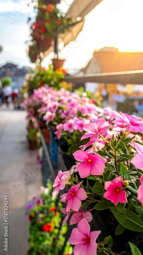 Wallpaper Mural Close-up of pink flowers with blurred background of a street scene Torontodigital.ca