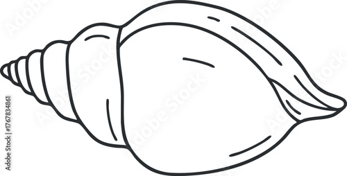A simple line drawing of a seashell with a smooth and elegant design.
