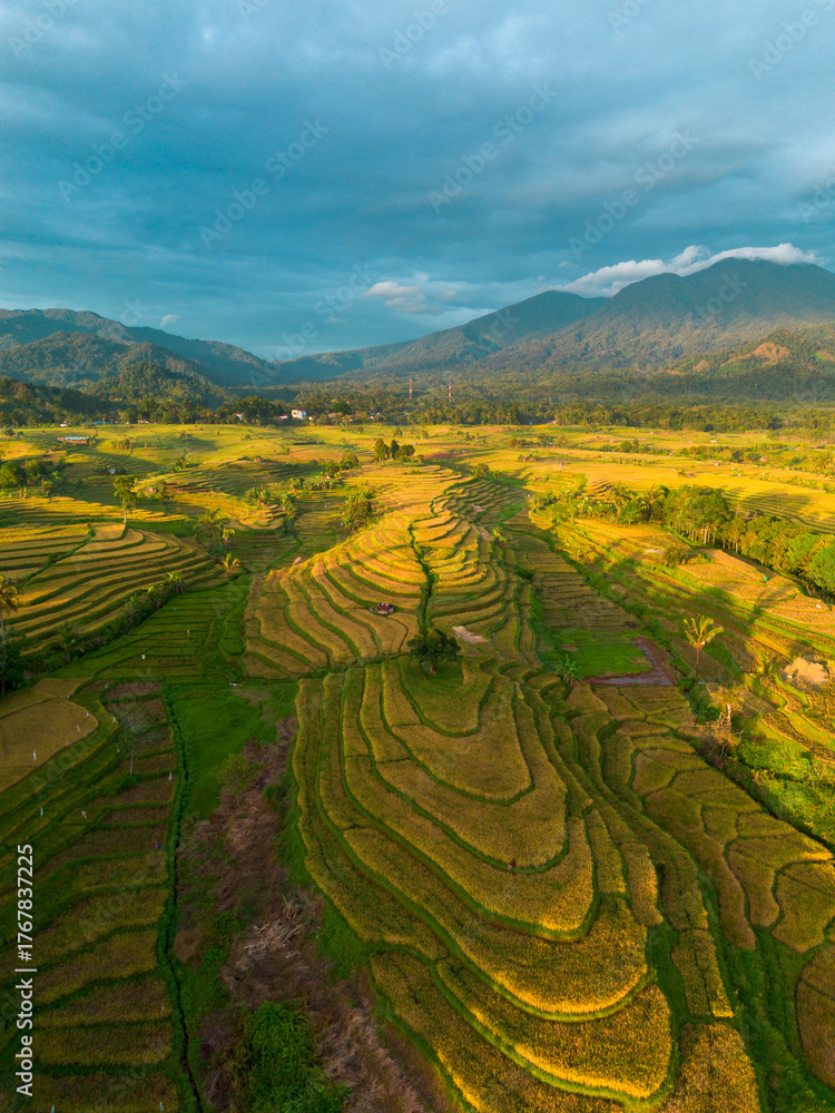 Naklejka premium Beautiful morning view indonesia Panorama Landscape paddy fields with beauty color and sky natural light