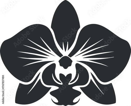 Stylized black silhouette of an elegant orchid flower with intricate detailing and design.