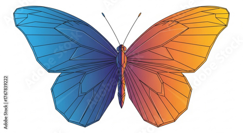 Geometric butterfly illustration with blue and orange wings on a white background