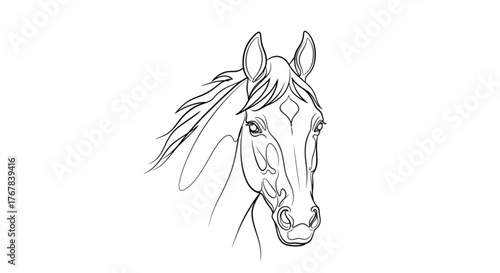 Elegant horse head outline with flowing mane in a minimalist black and white style